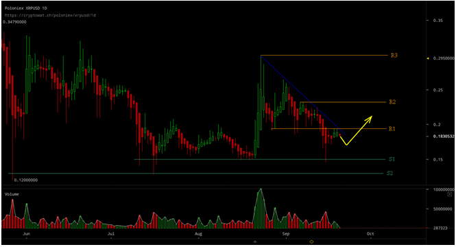 xrp analysis 21