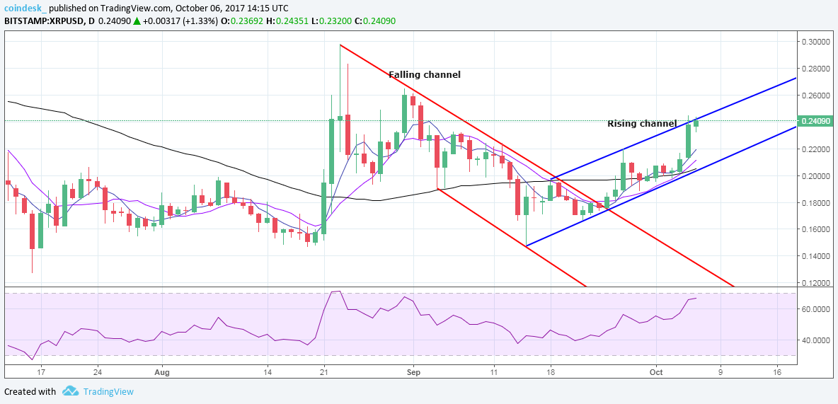 daily ripple analysis